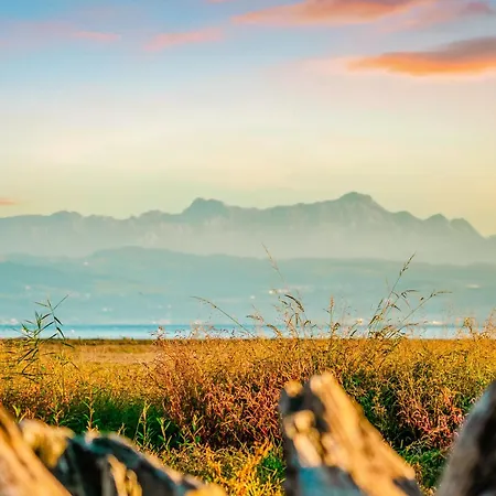 Bodensee I See- Und Bergsicht I Balkon I Parkplatz I Wlan Friedrichshafen